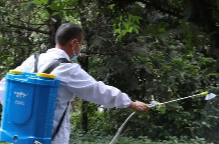 掌上娄底丨预防“两热”提示：这些人返（来）娄请认真做好防蚊隔离和自我健康监测两周