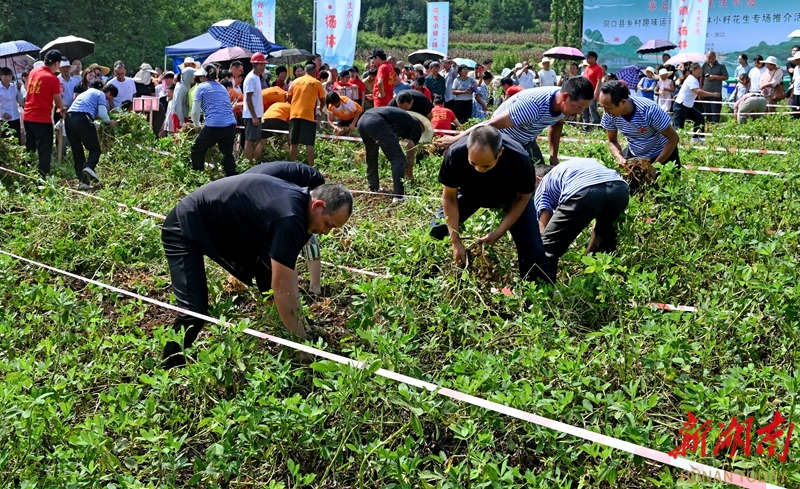 農(nóng)民趣味運(yùn)動(dòng)會(huì)