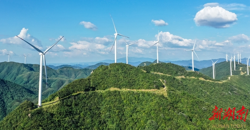 高山綠電乘風(fēng)來