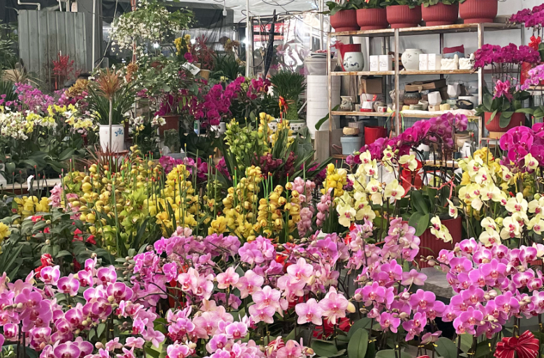国家林草局新近发布3项花卉行业标准