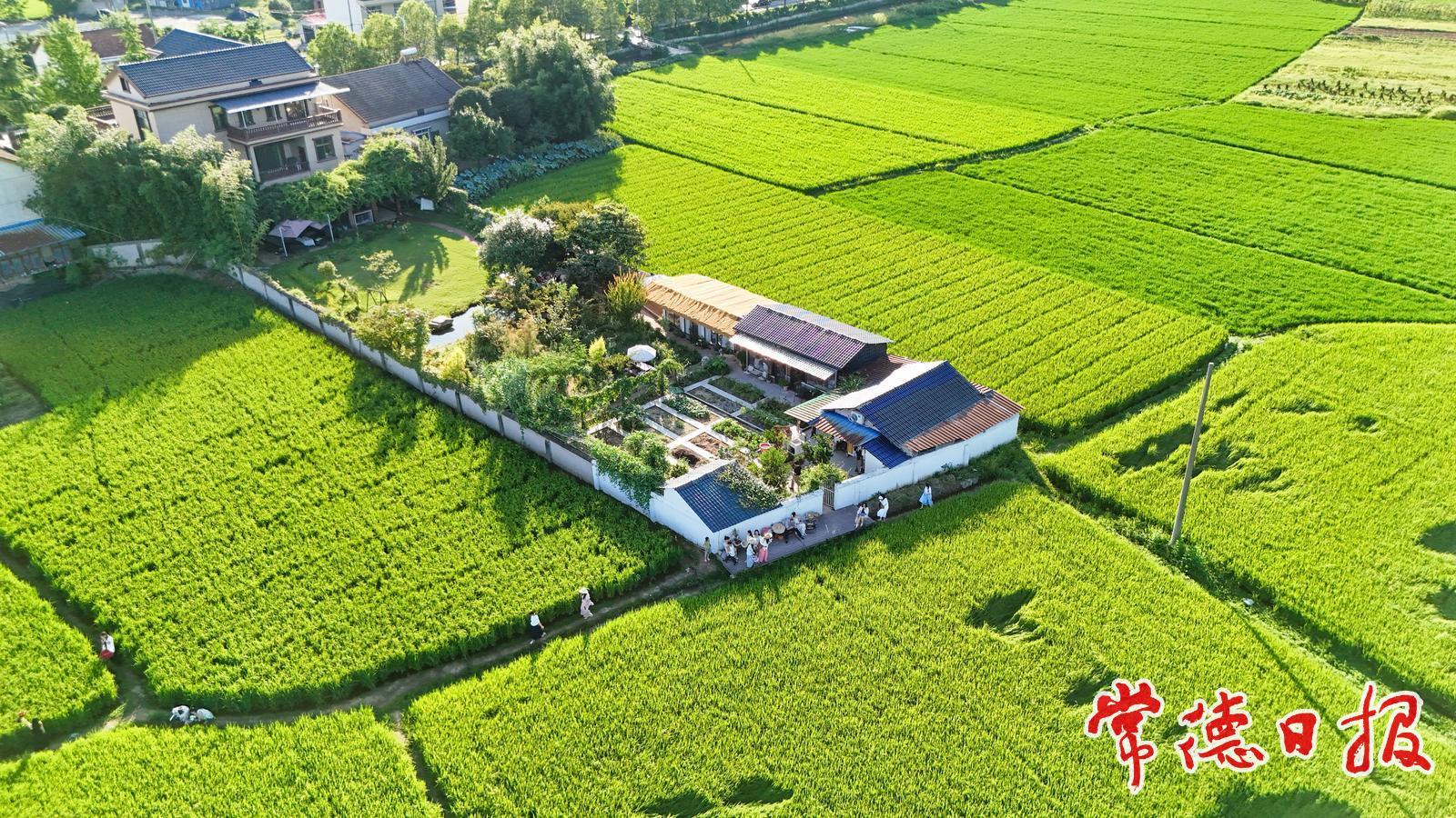 周末不必去遠(yuǎn)方 常德城郊“村咖”打卡香