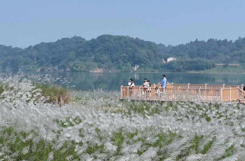 淥口區(qū)龍船鎮(zhèn)挽洲村入選省級美麗鄉(xiāng)村（和美湘村）重點建設(shè)村