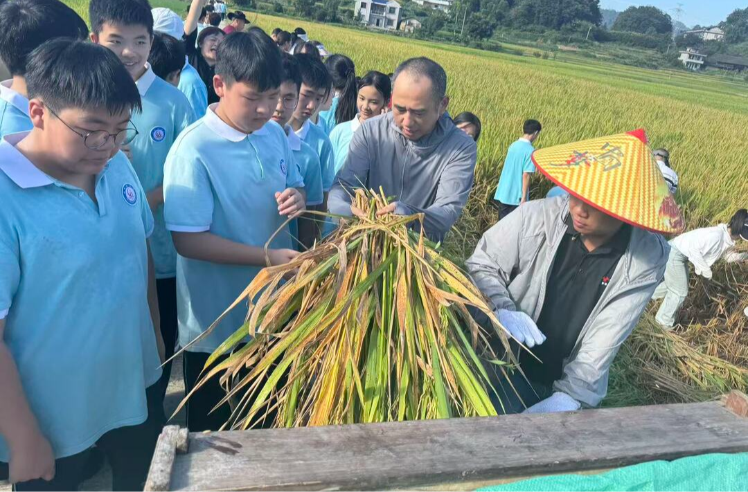 這所學(xué)校的實踐課堂“火”出了校園，也“燃”到了金黃的稻田里