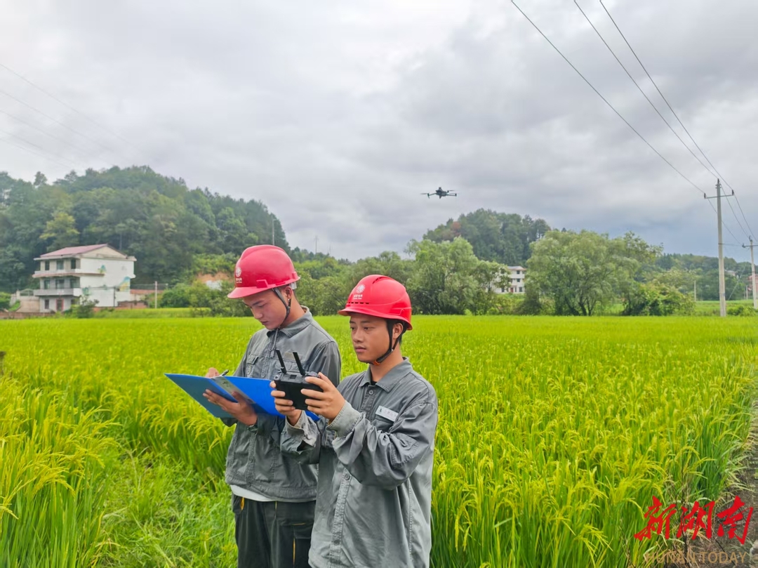 冒酷暑挑戰(zhàn)高溫   “靖”顯身手保供電
