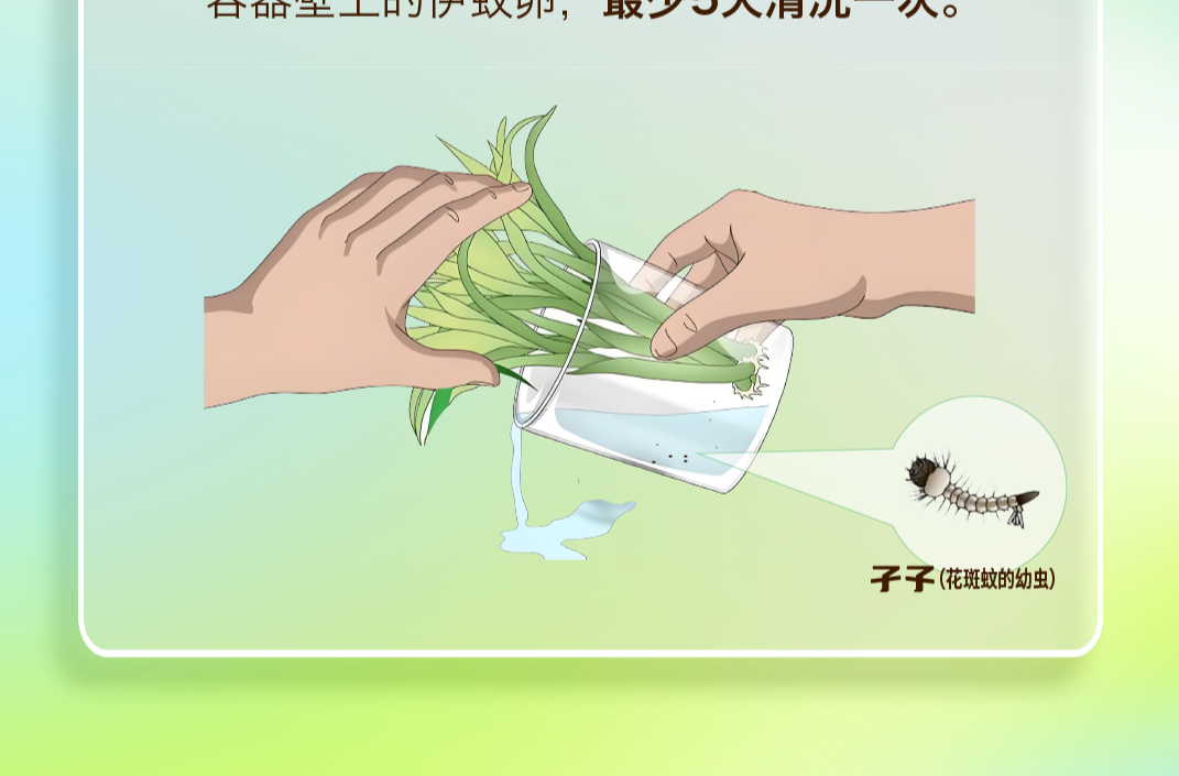 一圖讀懂 | 家里有蚊子，這樣做速戰(zhàn)速決不挨咬！