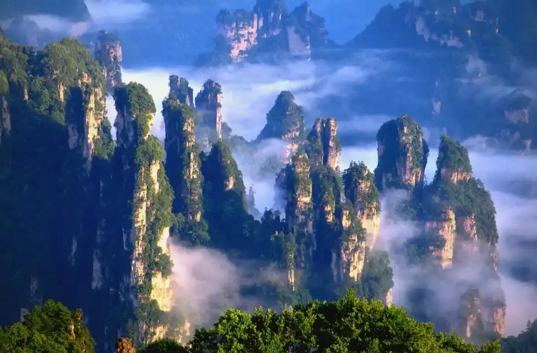 武陵源區(qū)：織密監(jiān)督網(wǎng) 護(hù)好“救命錢(qián)”@湖南日?qǐng)?bào)市州版頭條