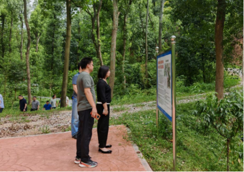 湘潭市林业局局长颜炬赴湘潭市林业科学研究所调研重点项目建设情况