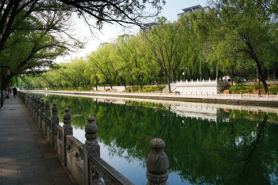頤和園?動物園水岸聯(lián)通，行走中感受流動的京城畫卷