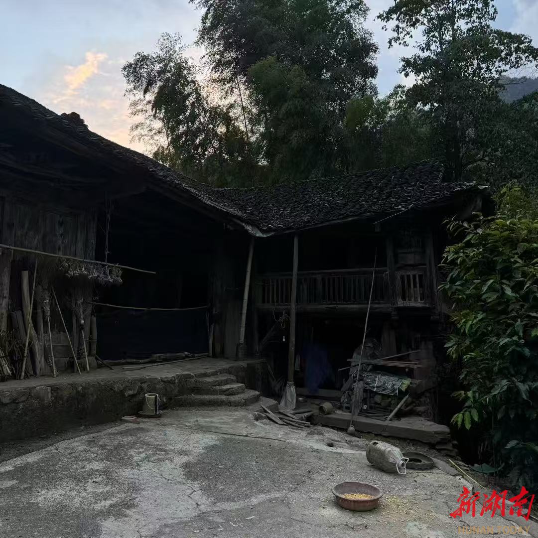 美文欣賞丨木框里的星光與外婆 