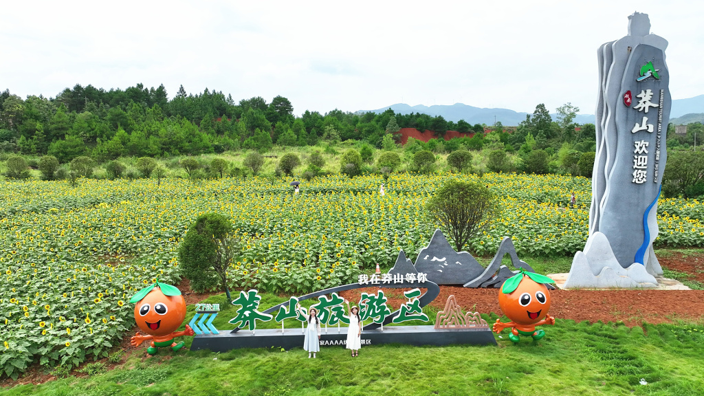 宜章縣黃沙鎮(zhèn)：葵花盛開迎旅發(fā)大會