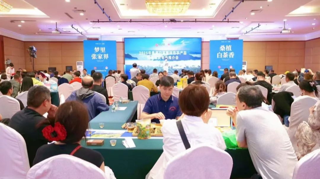 桑植县：线上线下双渠道推广，推动桑植白茶走向更广阔市场