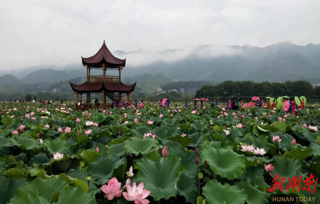 溆浦縣水東鎮(zhèn)劉家渡村：黨建引領(lǐng)聚合力 法治護航啟新程