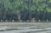 北方暴雨大暴雨，南方40℃……