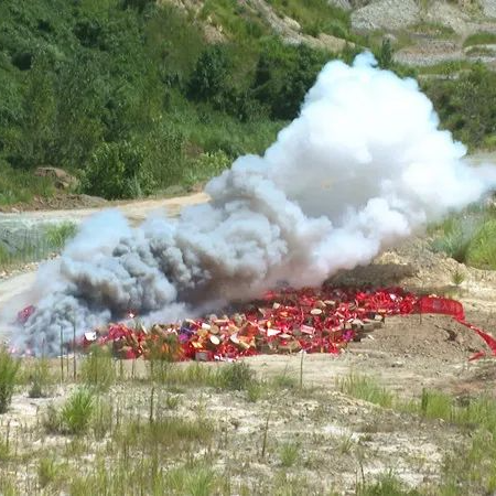 临湘市多部门联合开展烟花爆竹“打非治违”集中销毁行动