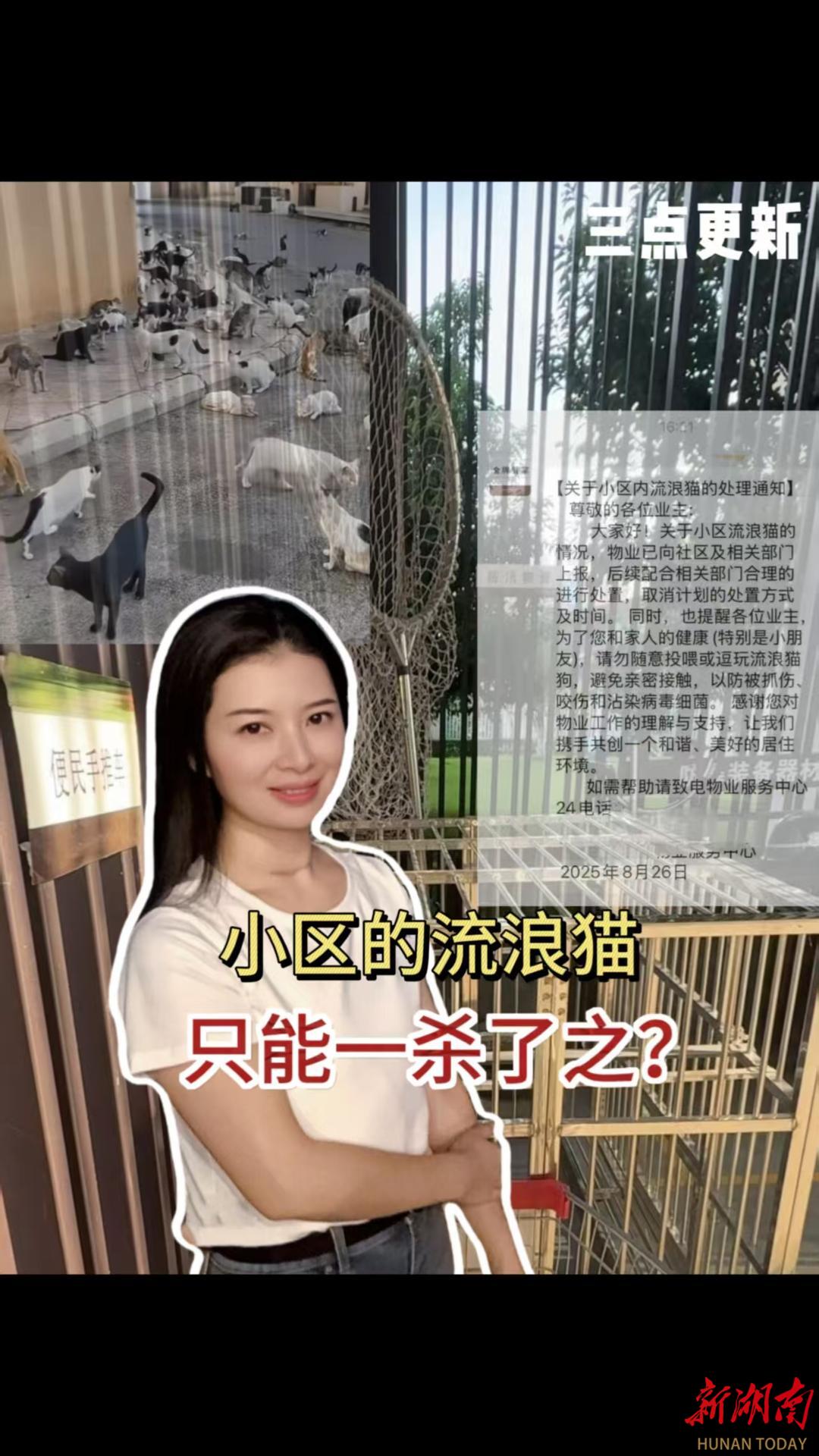 三點(diǎn)更新|小區(qū)的流浪貓，只能一殺了之？