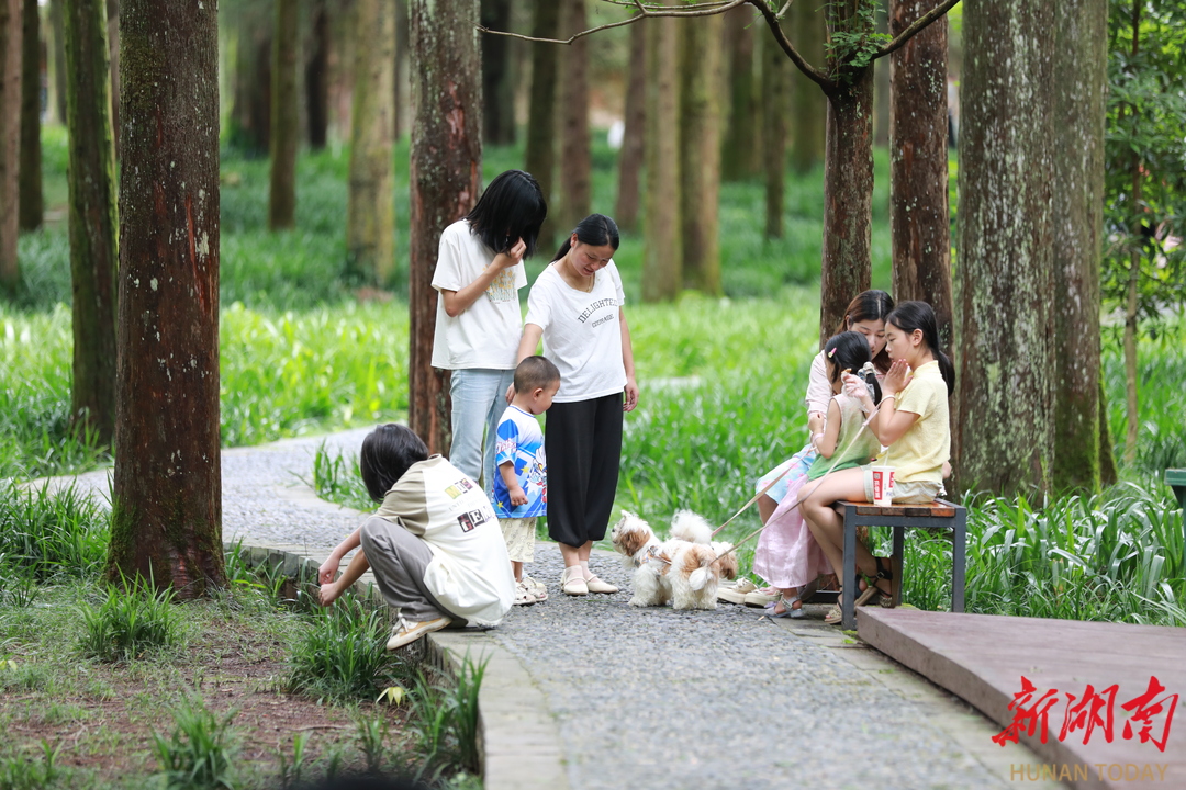 靖州：“點(diǎn)‘涼’成金”激活文旅熱潮