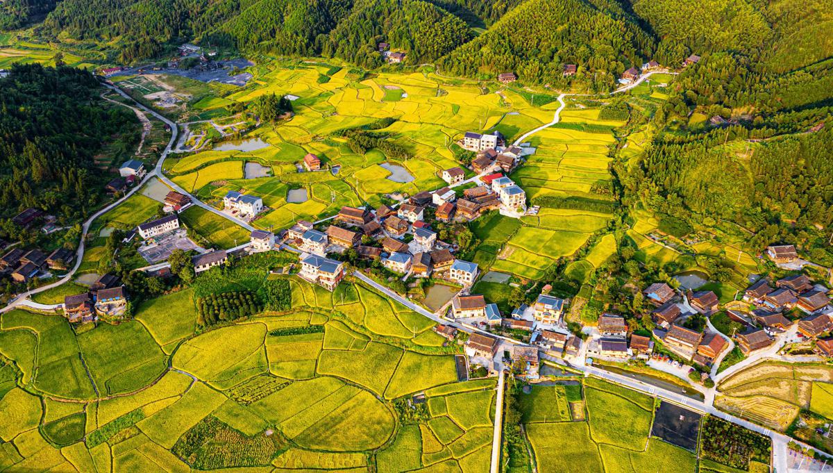 Autumn in the Dong villages of Tongdao