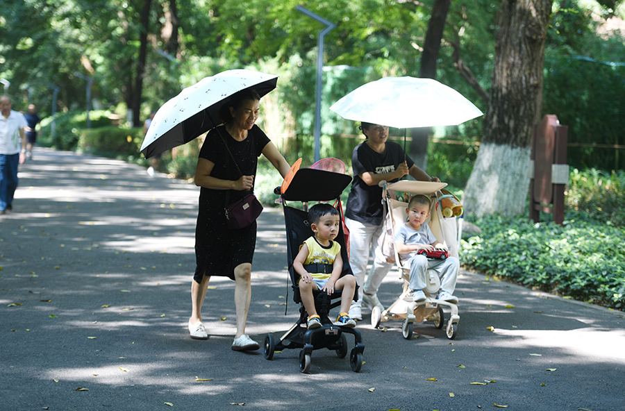 城市公園好納涼