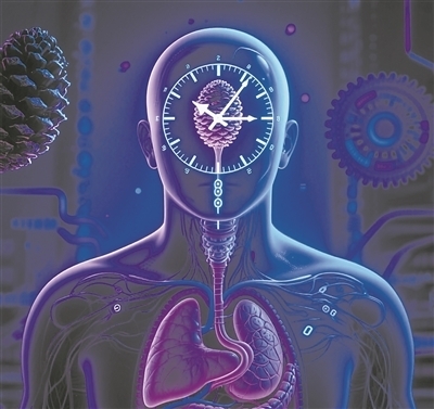“時間療法”開啟健康管理新途徑