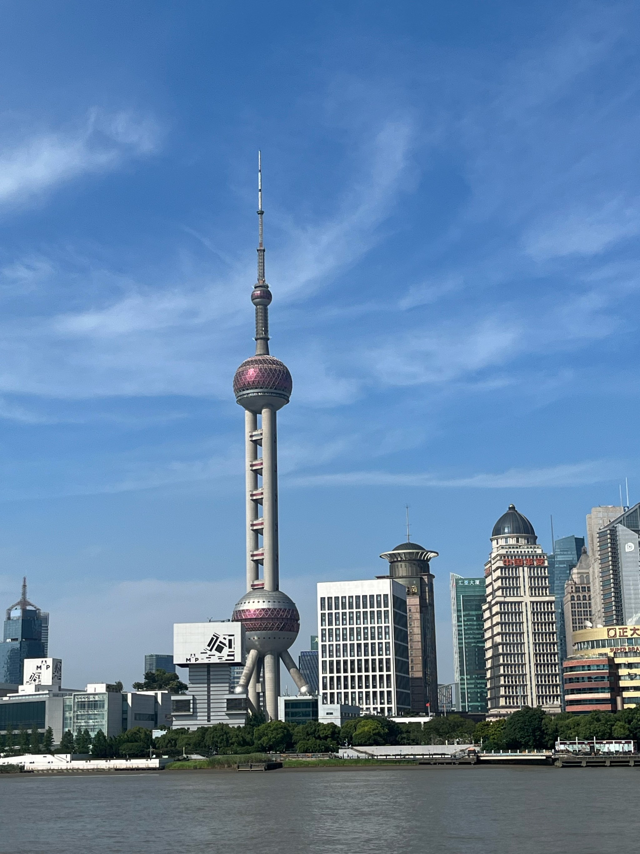 2024年度上海市科學(xué)技術(shù)獎揭曉