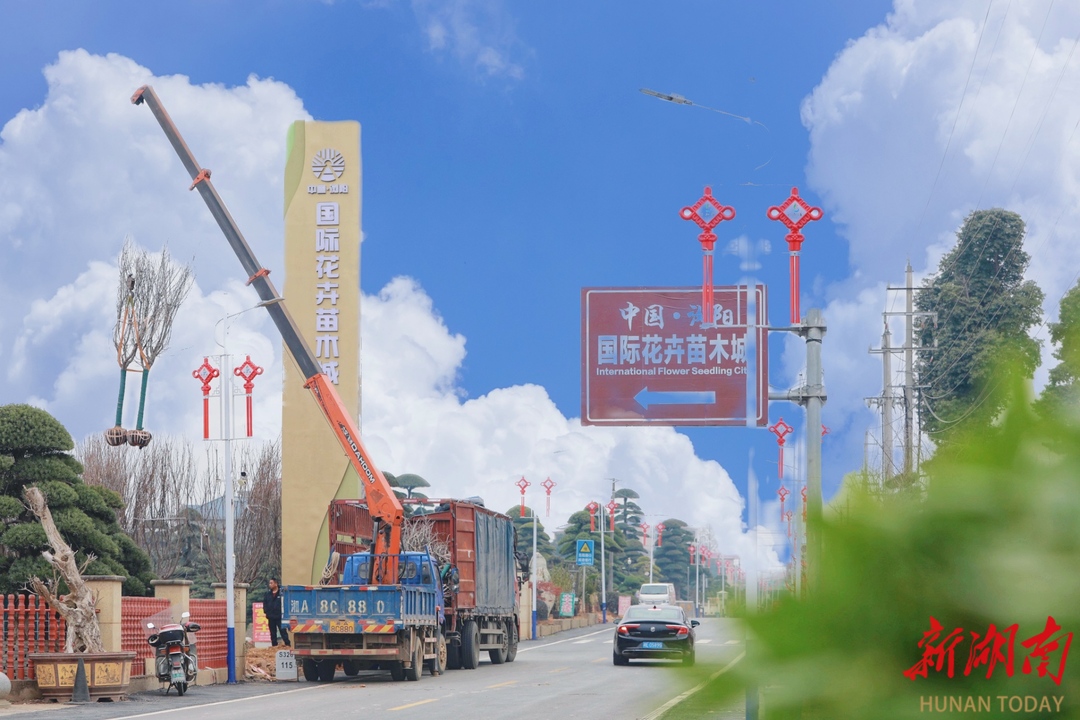 瀏陽柏加插上騰飛翅膀 電商成為“花木之鄉(xiāng)”時(shí)代新農(nóng)具@湖南日?qǐng)?bào)