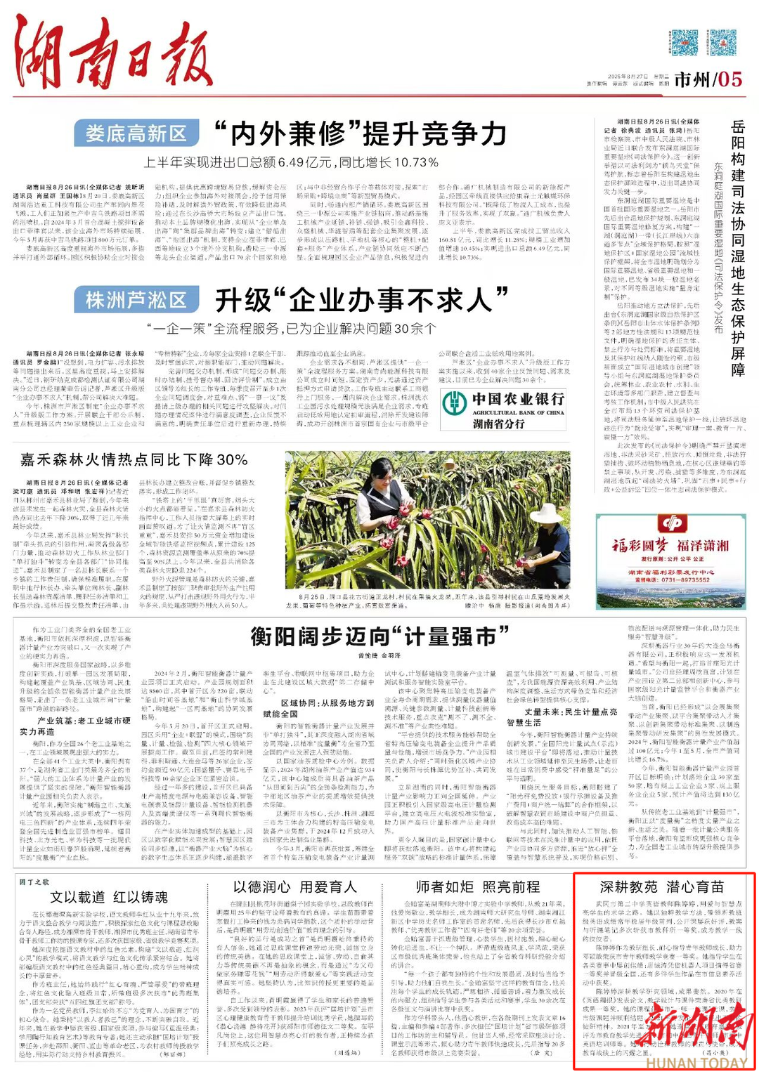 深耕教苑 潛心育苗 | 湖南日報