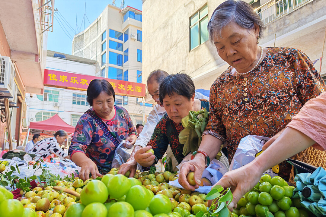 湖南洞口：集市人間煙火氣 黨群聯(lián)系大舞臺
