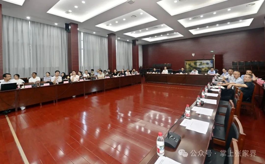 王洪斌专题研究武陵源区乡镇规划和城区详细规划编制及永定城区批而未供（闲置）土地规划工作