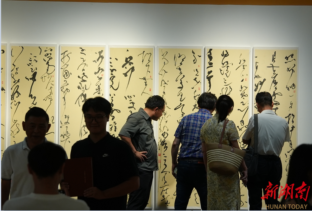 劉彥湖、陳忠康、楊濤……“當(dāng)代帖學(xué)十四人”書法展亮相長沙