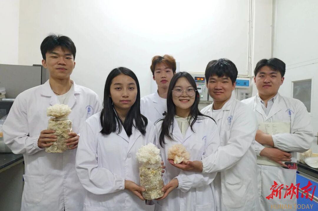 湘西州掀起大學(xué)生返鄉(xiāng)創(chuàng)業(yè)熱潮@湖南日報市州頭條