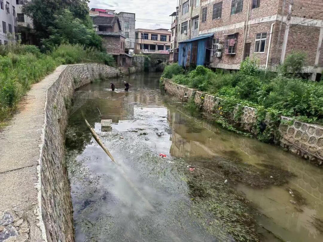 邵陽縣蔡橋鄉(xiāng)：黨建引領聚合力，黨員群眾共護一江碧水