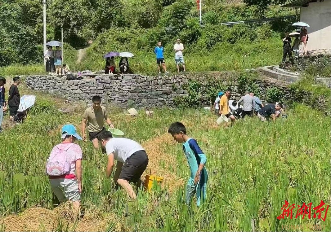 吉首監(jiān)獄舉辦“金秋助農(nóng)·家庭助廉”主題活動(dòng)