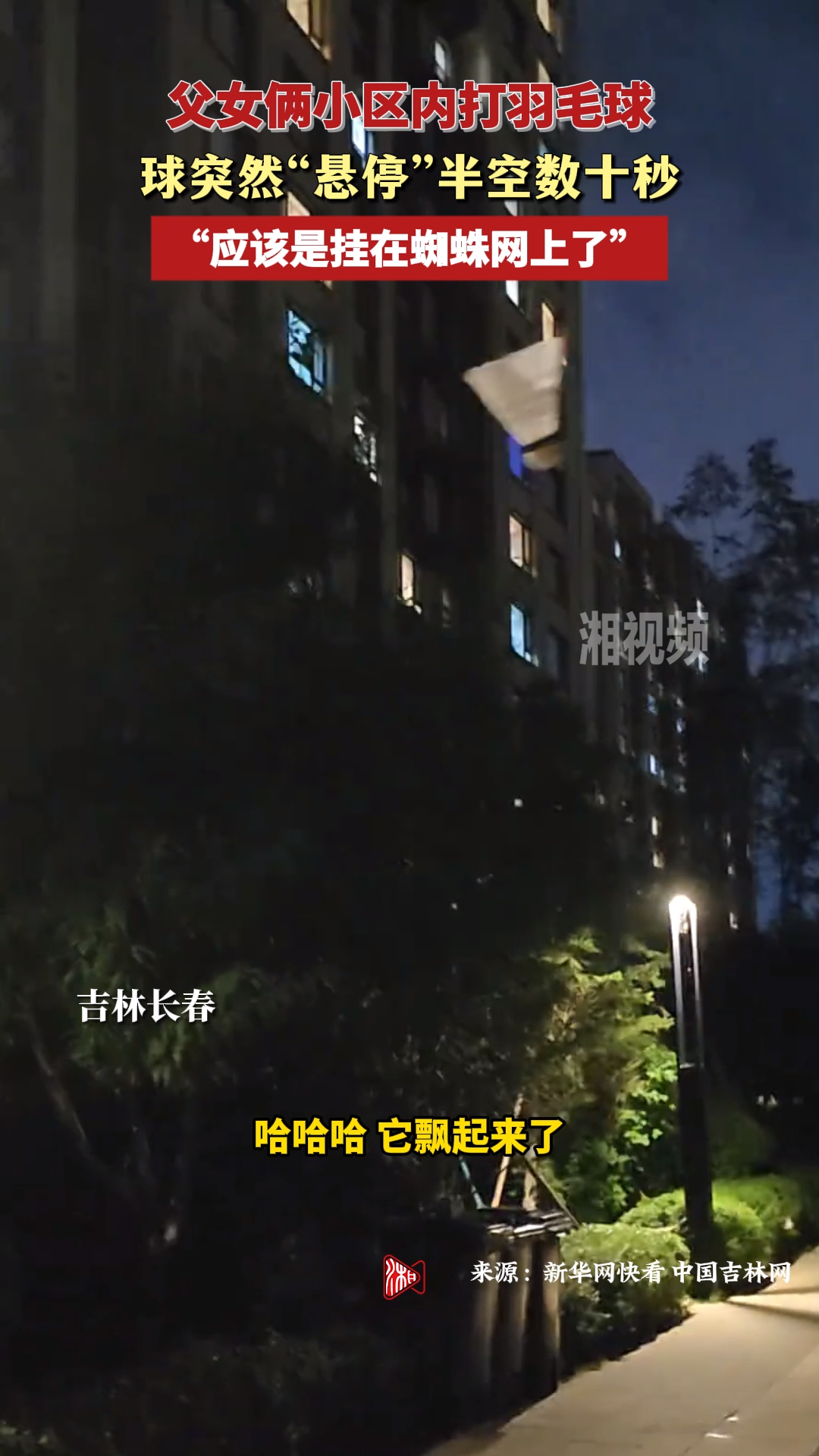 父女俩小区内打羽毛球，球突然“悬停”半空数十秒
