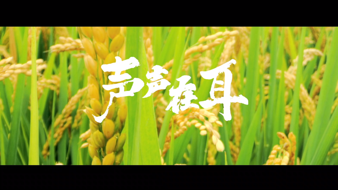 聲聲在耳