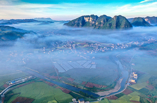 Scenery of Colorful Fields Heralds Bumper Harvest