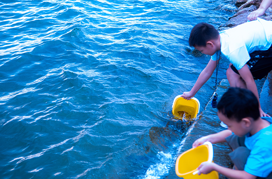 助力瀕危魚類回家
