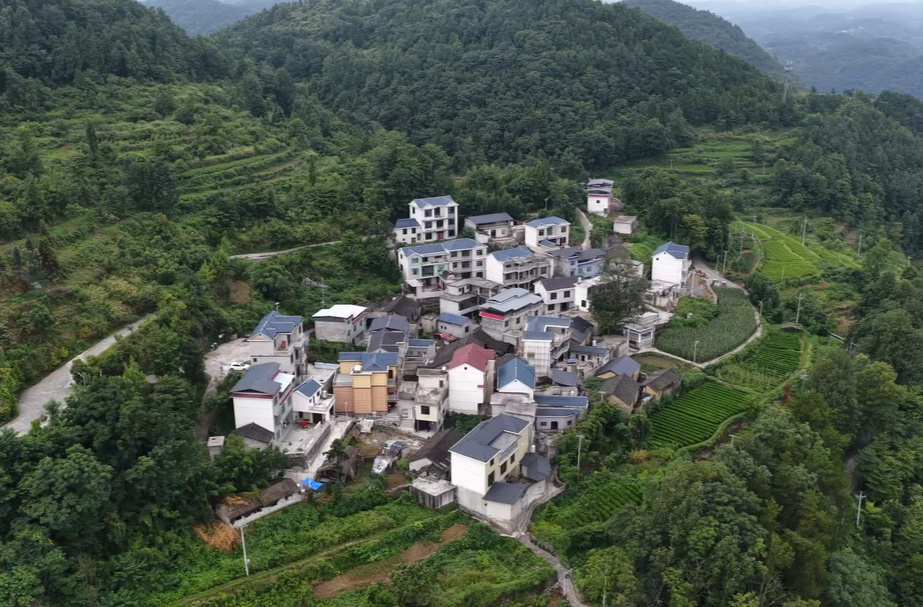 電力賦能鄉(xiāng)村振興 用情書寫“椿”天的故事