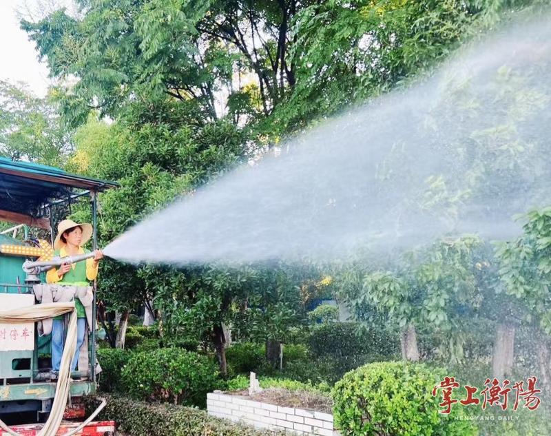 為城市綠蔭“送清涼”，衡陽市園林部門多措并舉應對高溫“烤”驗