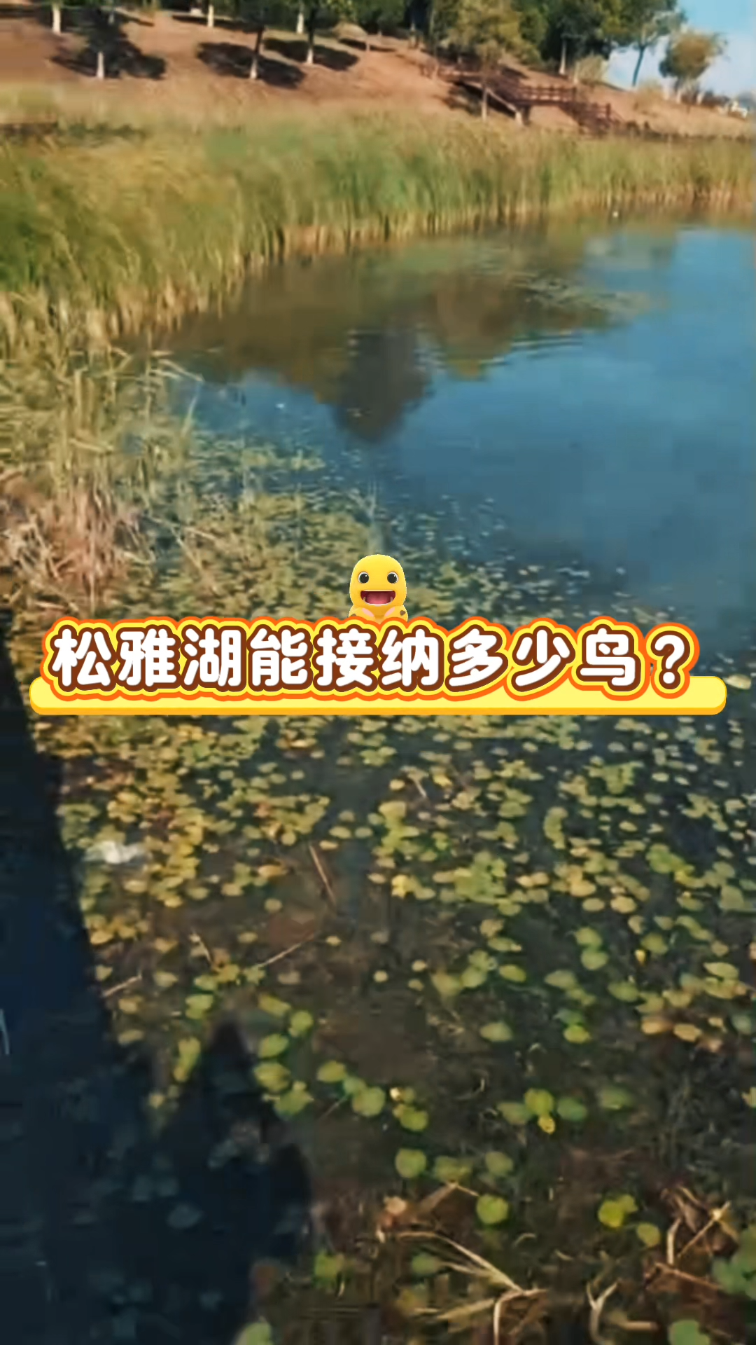 松雅湖迎來(lái)“鳥(niǎo)口普查”  你可以參加！