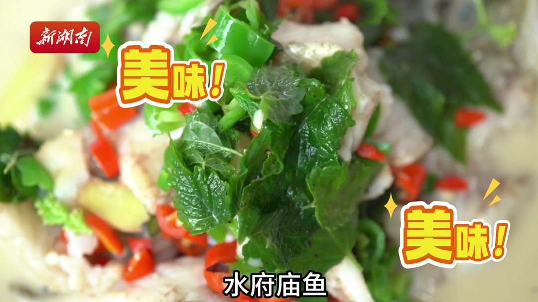 瘋狂的“婁超”|“婁超”美食隊到達賽場，你心儀哪支隊？
