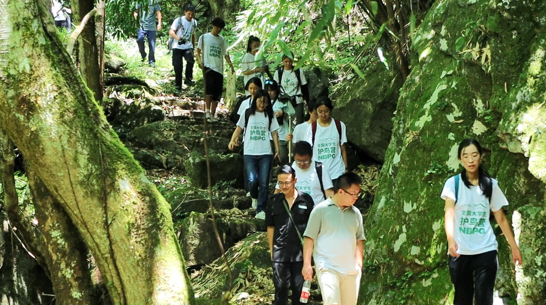 第五届全国大学生护鸟营在新宁县启动，共同守护鸟类的栖居家园