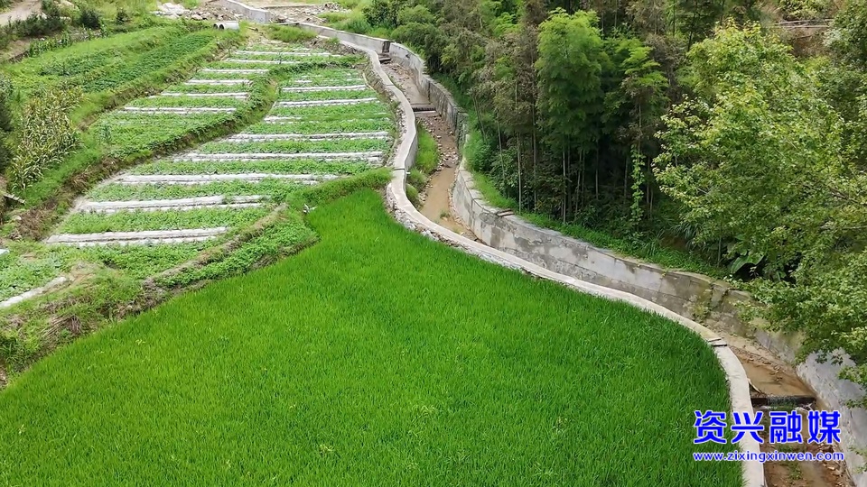 聚焦資興災(zāi)后重建 | 省海利集團：以產(chǎn)業(yè)為筆 繪就桎木村新圖景