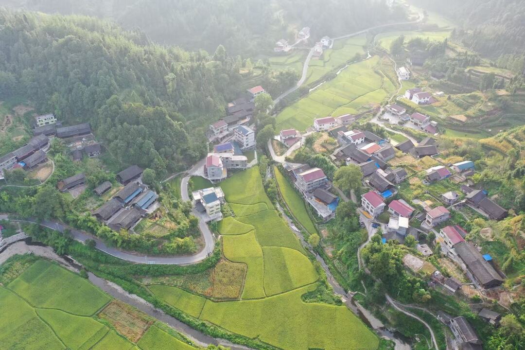 新晃：認(rèn)領(lǐng)“責(zé)任田” 擴(kuò)種旱稻保障糧食安全