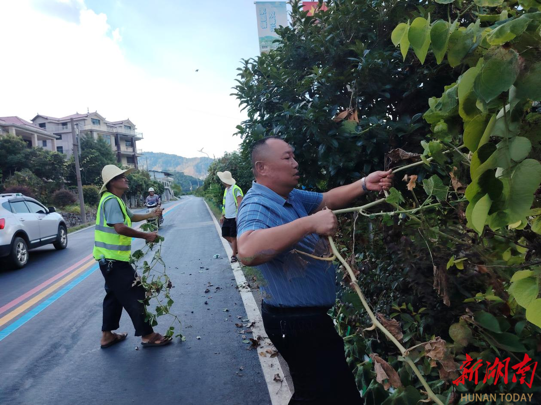 杏子鋪鎮(zhèn)：攻堅清路障 干群繪新圖