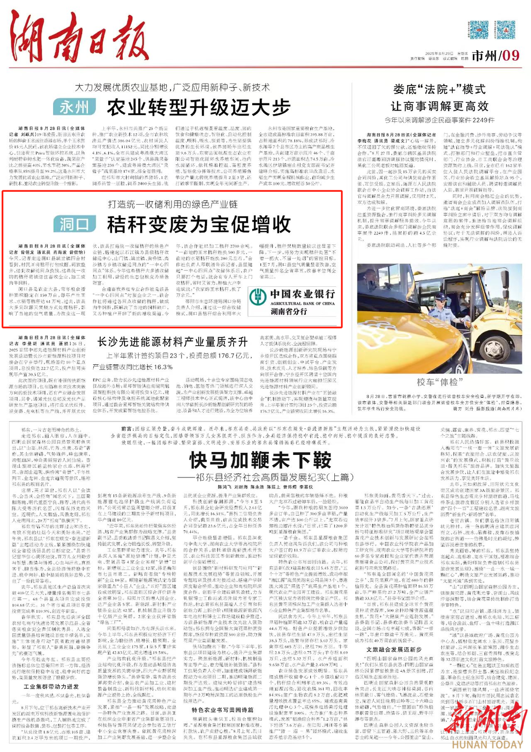 洞口 秸稈變廢為寶促增收 | 湖南日報市州頭條