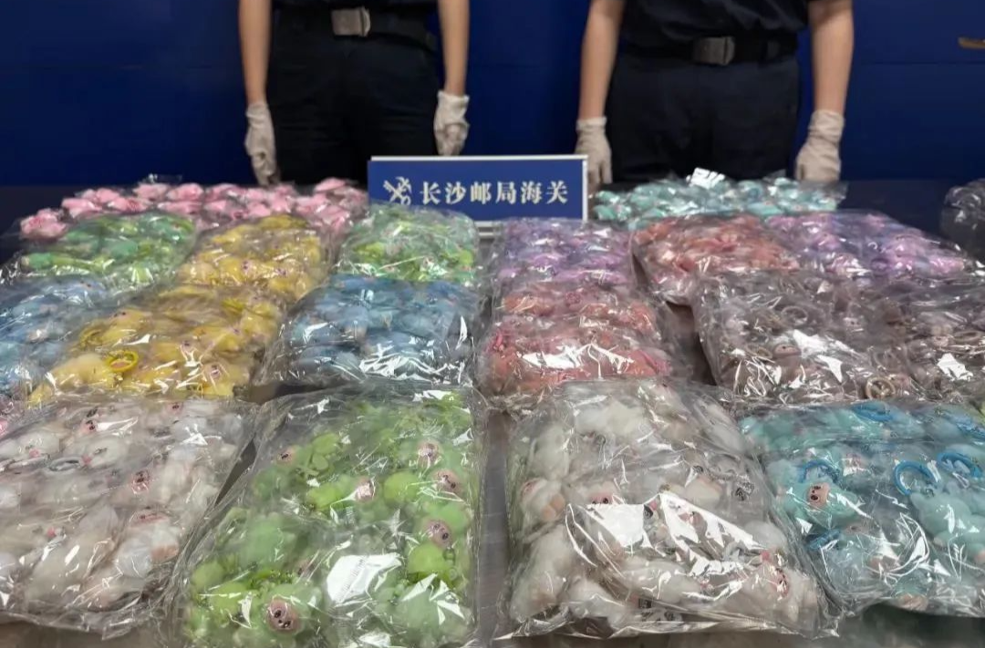迷你版LABUBU正版還未發(fā)售，盜版“先行一步”？律師解讀→
