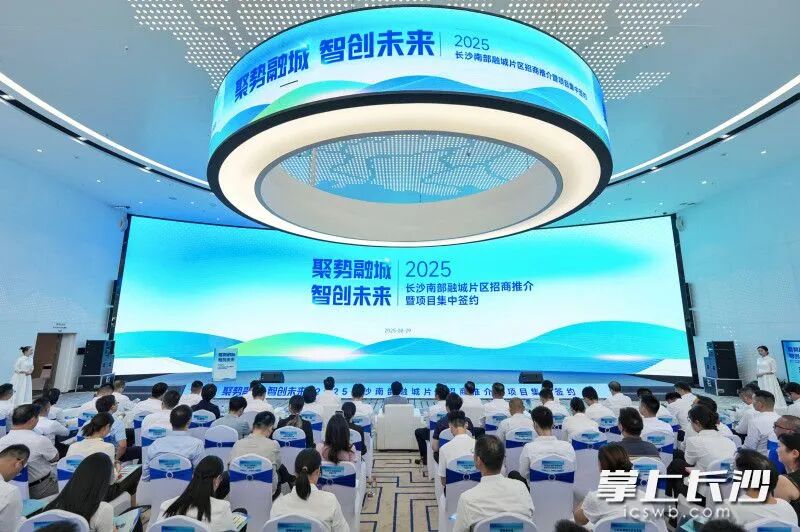 心声丨16个项目中11个牵手天心，这片热土有何“磁力”？