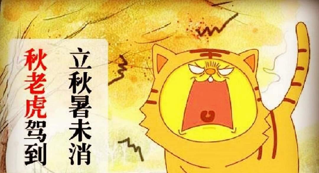 文萃新知｜“秋老虎”時(shí)段切記做好頭腹保暖
