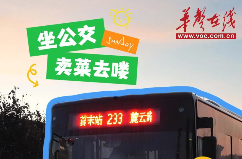 身边的改革故事① | “黄师傅们”的“菜农专线”