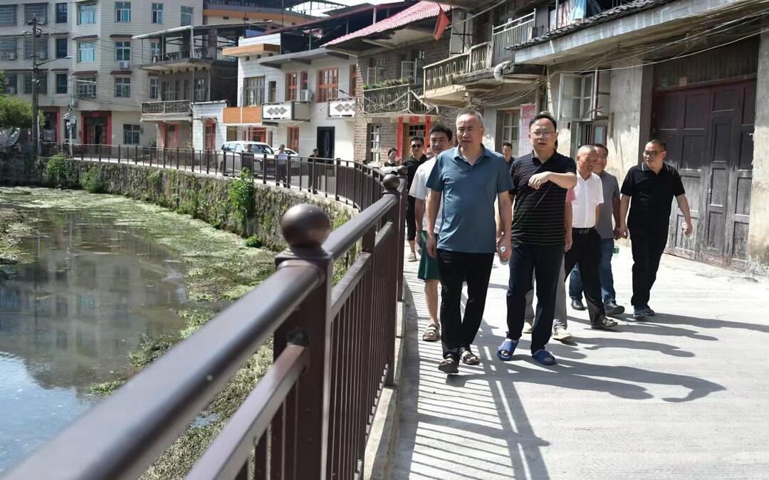 民进武冈市委会赴武冈古城穿城河沿线开展民主监督